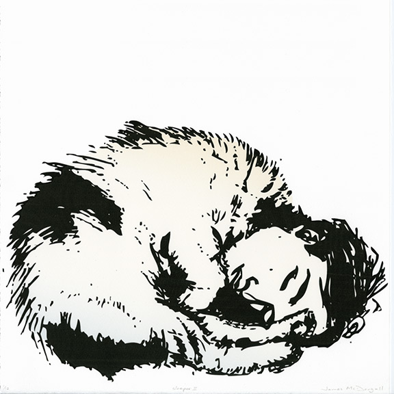 SleeperII