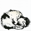 Sleeper II