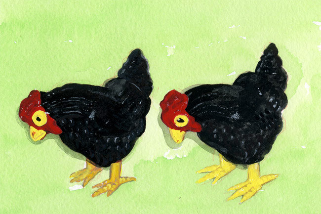 Double Rooster