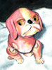 Pink Dog thumb